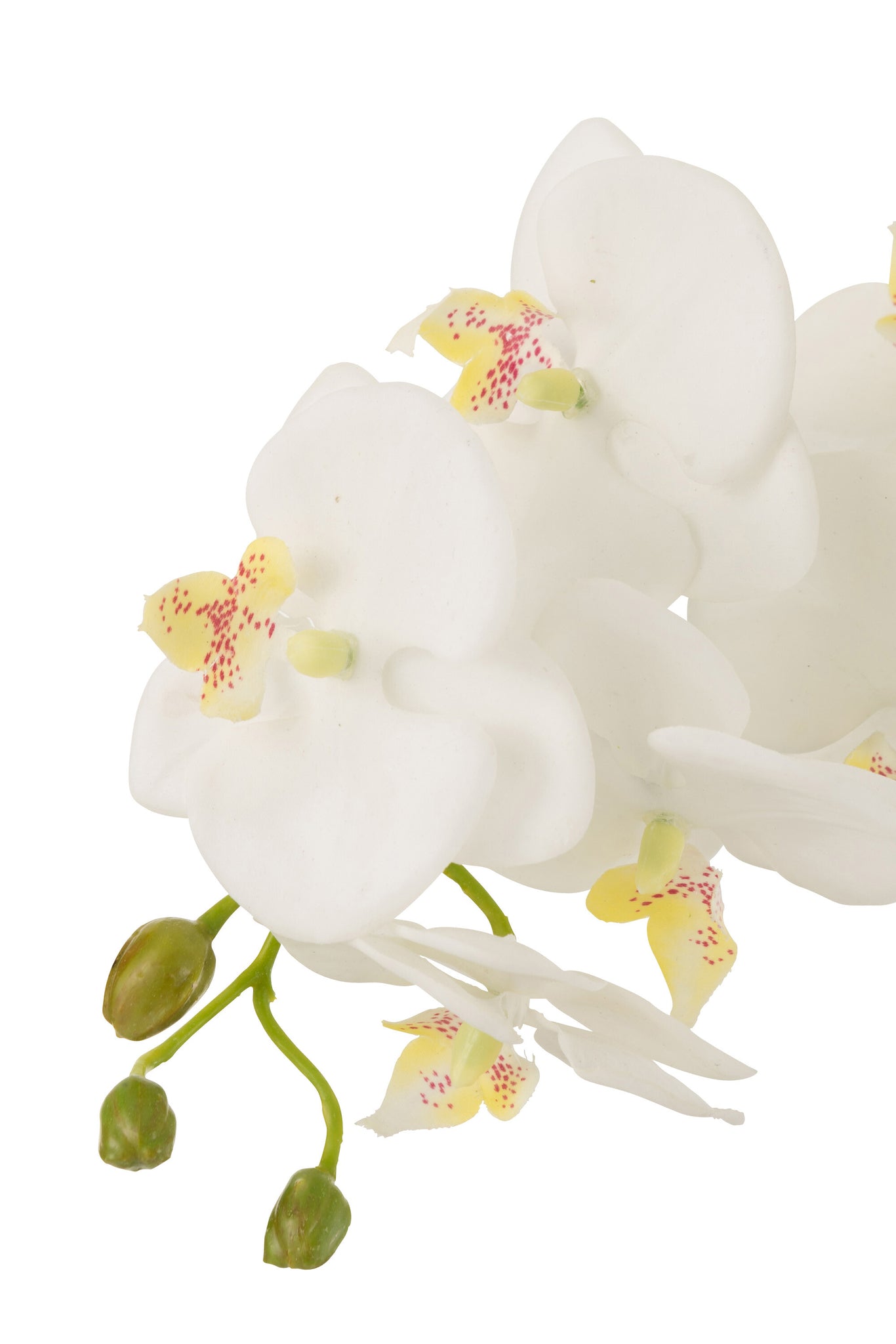 Orchidee In Aarde Plastiek Wit/Groen Large 32x32x75cm