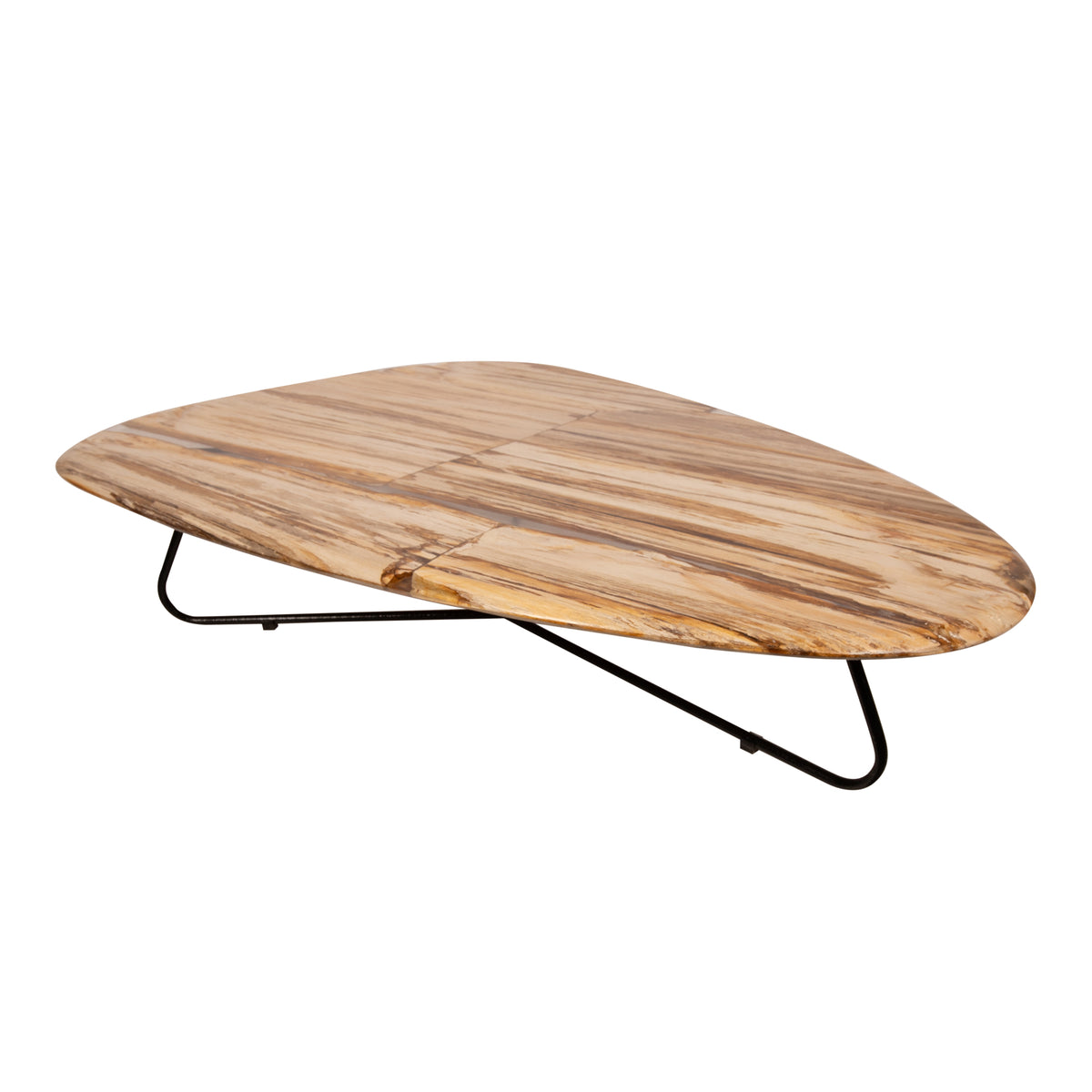 Couchtisch Deeba versteinertes Holz 130 PTMD