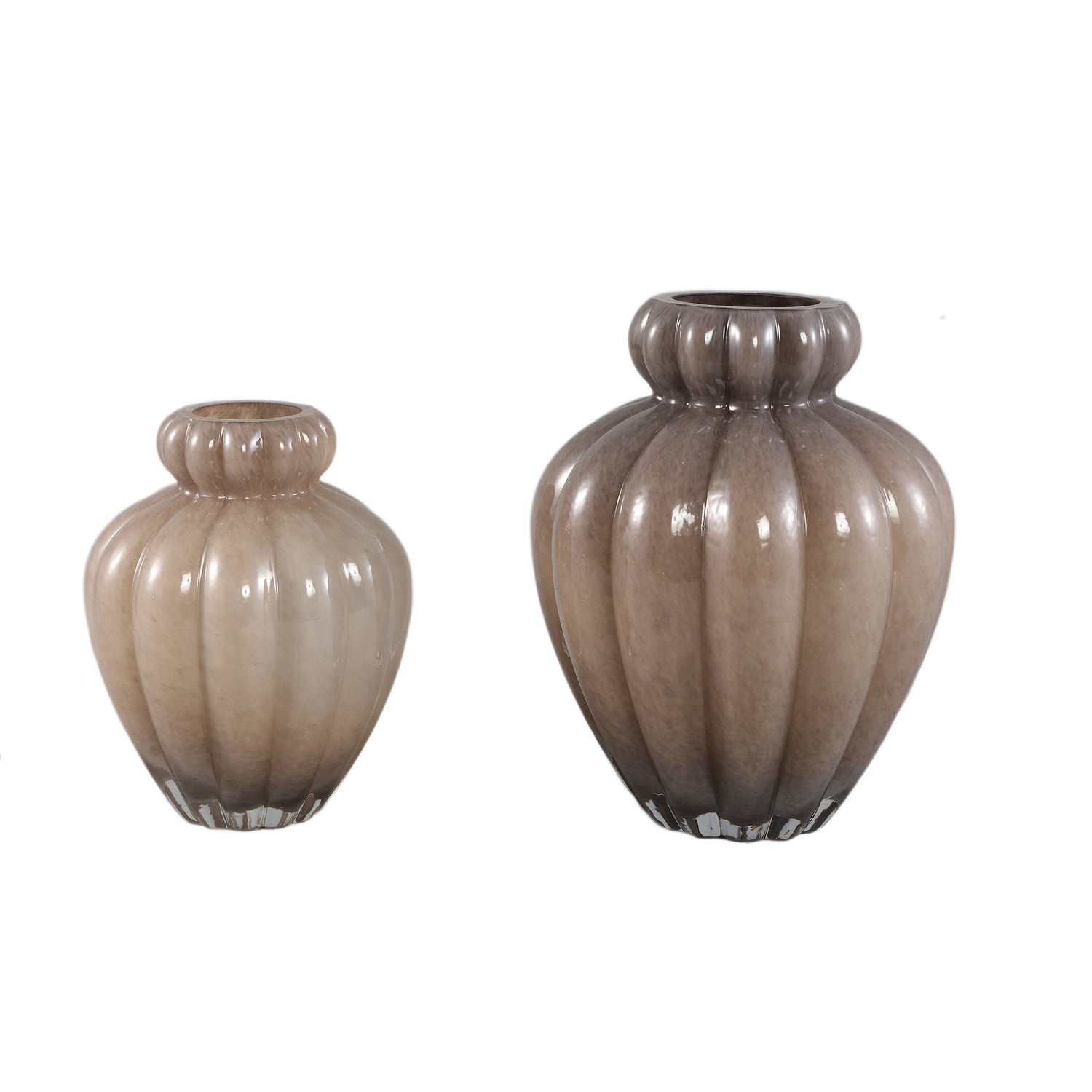 Vaas Syamer Bruin Large PTMD