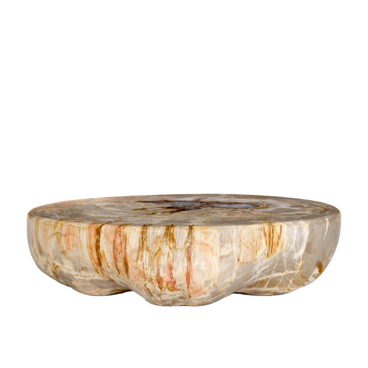 Bethe Natural Versteinertes Holz Halbkugel Display L PTMD