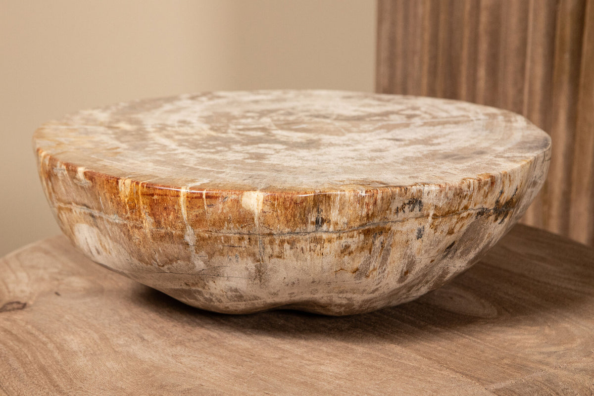 Bethe Natural Versteinertes Holz Halbkugel Display L PTMD