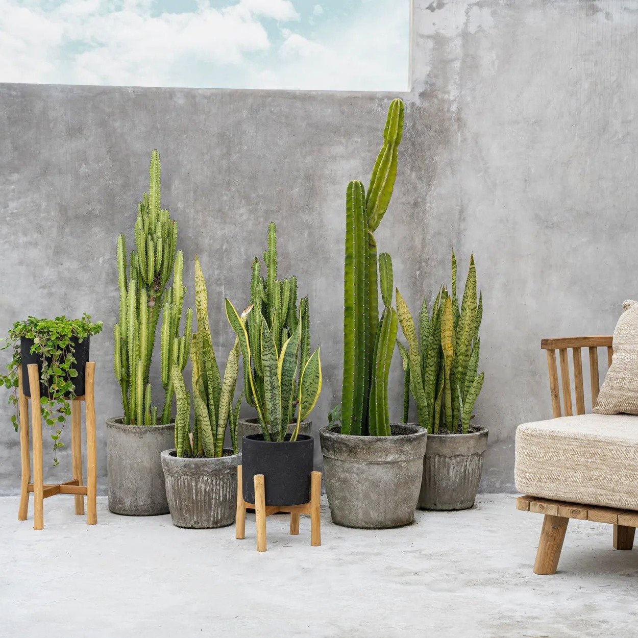 De Charcoal Hoge Plantenbak Zwart Small Bazar Bizar