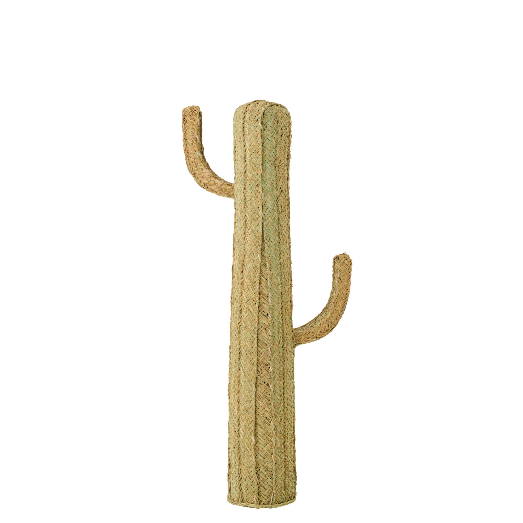 Cactus Gras Naturel Large J-Line