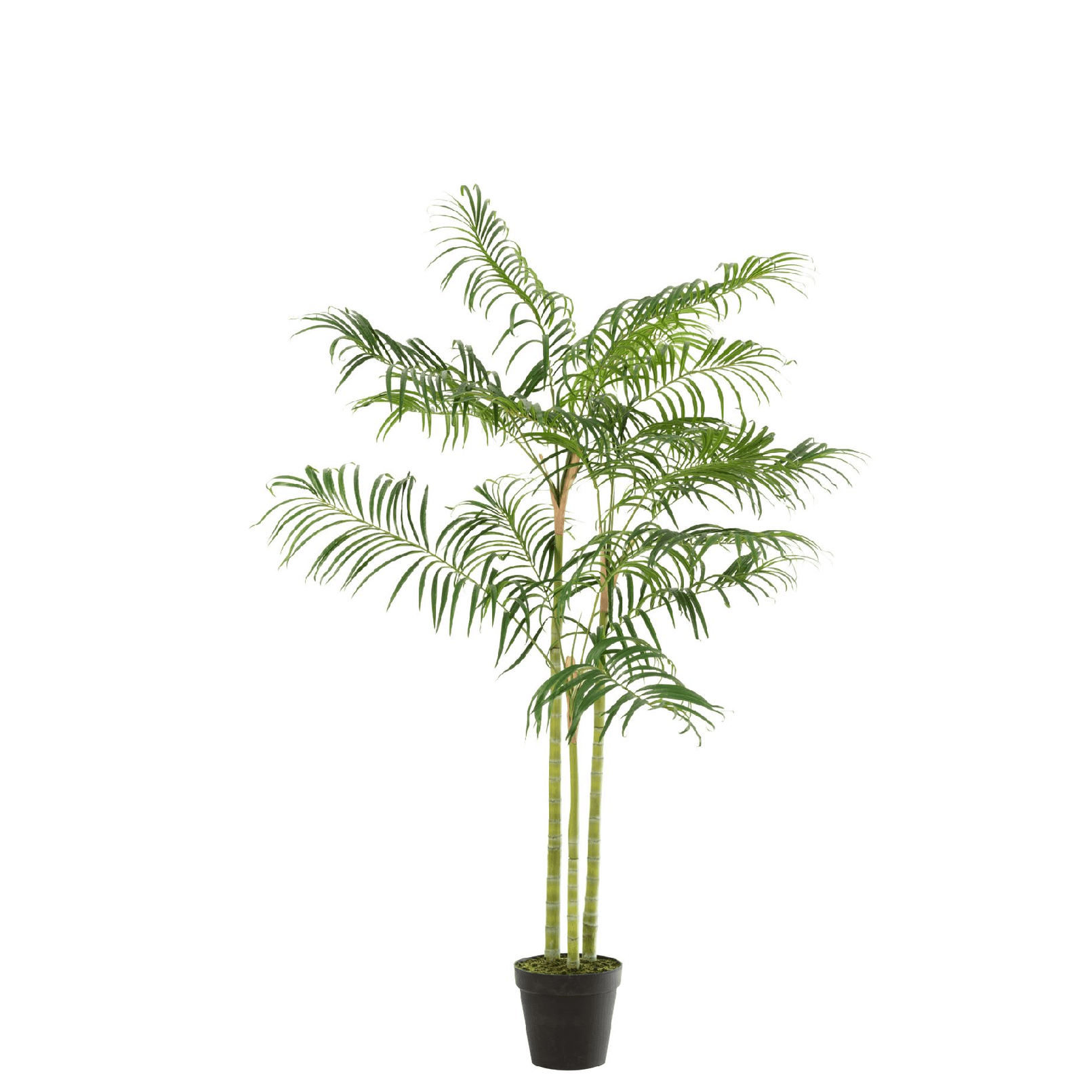 Bamboepalm In Pot Plastiek Groen/Zwart Small - Kunstplant - J-Line - livinglovely.nl