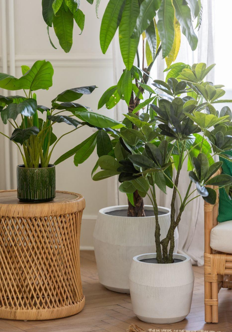 Bloempot Vezelklei Wit Set van 3 J-Line - Pot - J-Line - livinglovely.nl