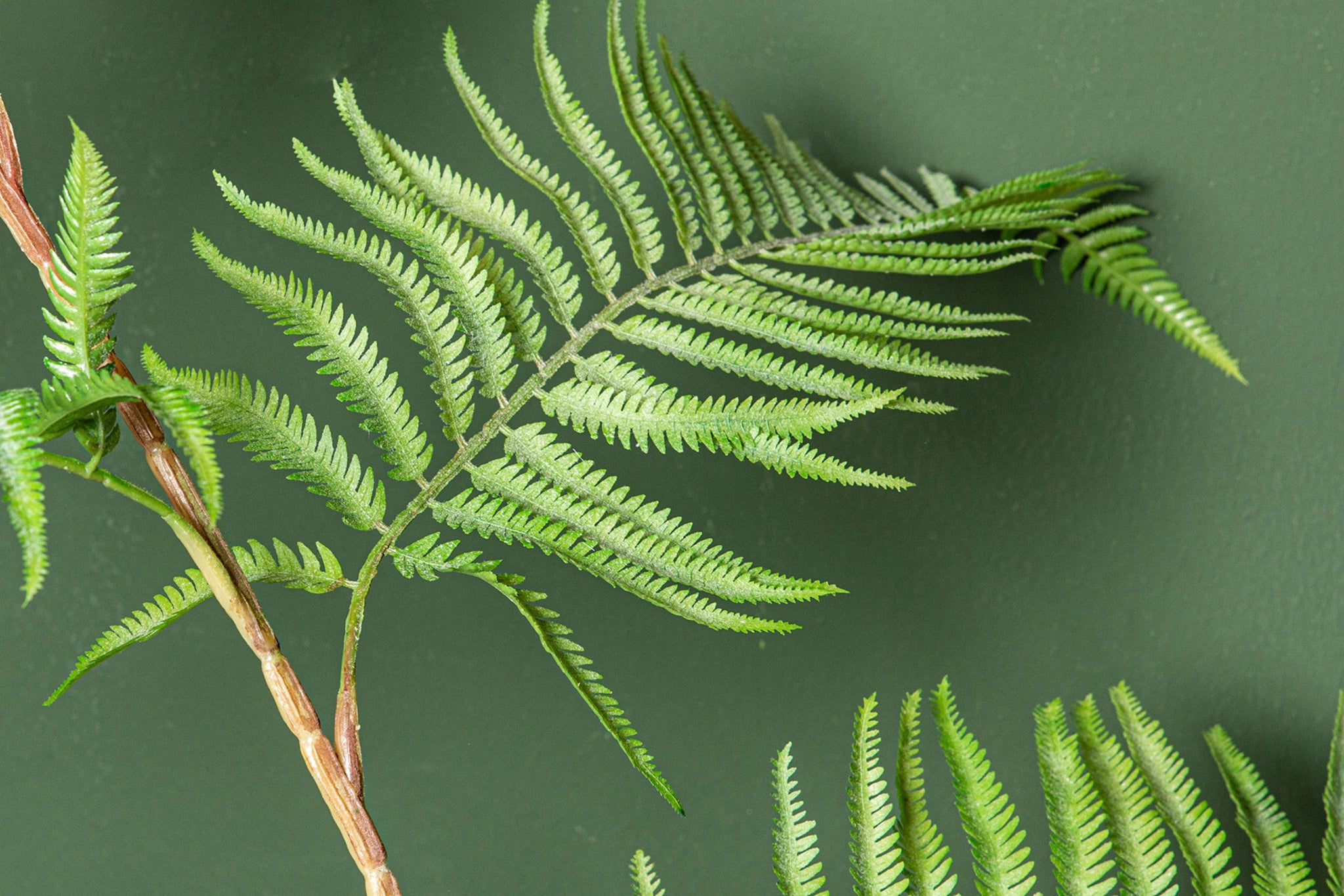Fern Plant Green Sword Fern Plant In Black Pot 125x70x150cm PTMD - Kunstplant - PTMD - livinglovely.nl