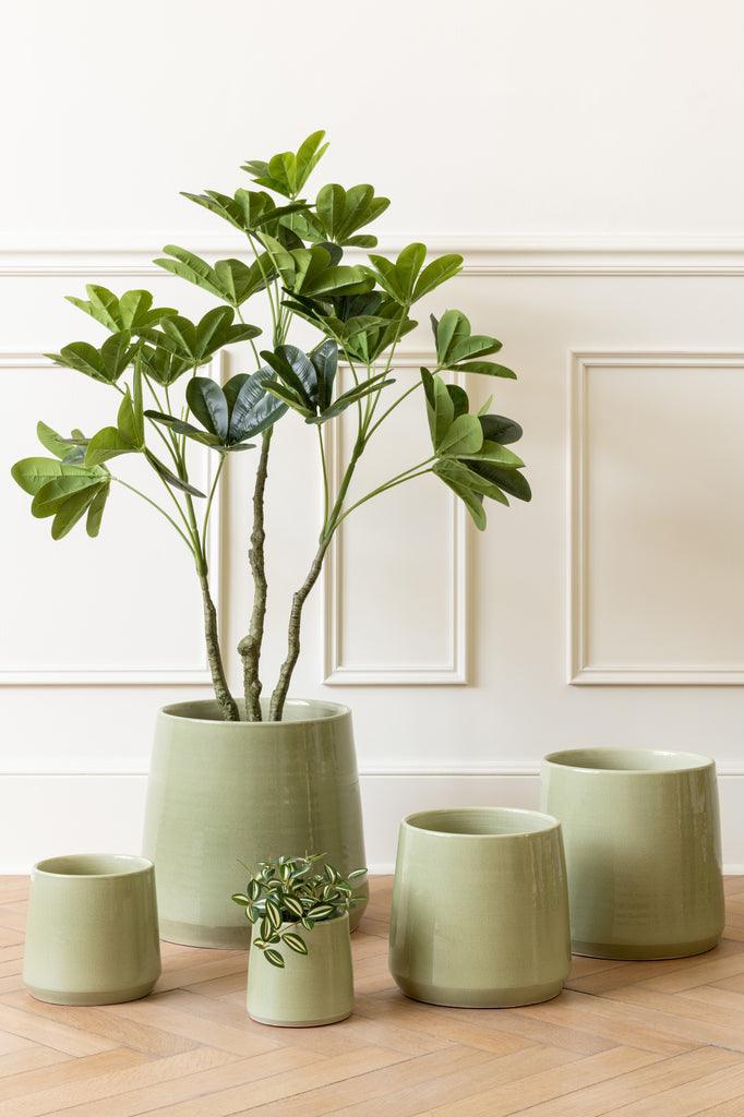 Geldboom In Pot Plastiek Groen Small - Kunstplant - J-Line - livinglovely.nl