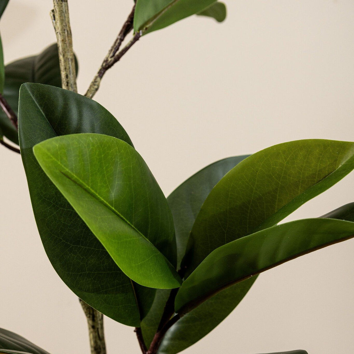 Detail van het kleine leerachtige blad van de steeneik kunstboom van PTMD