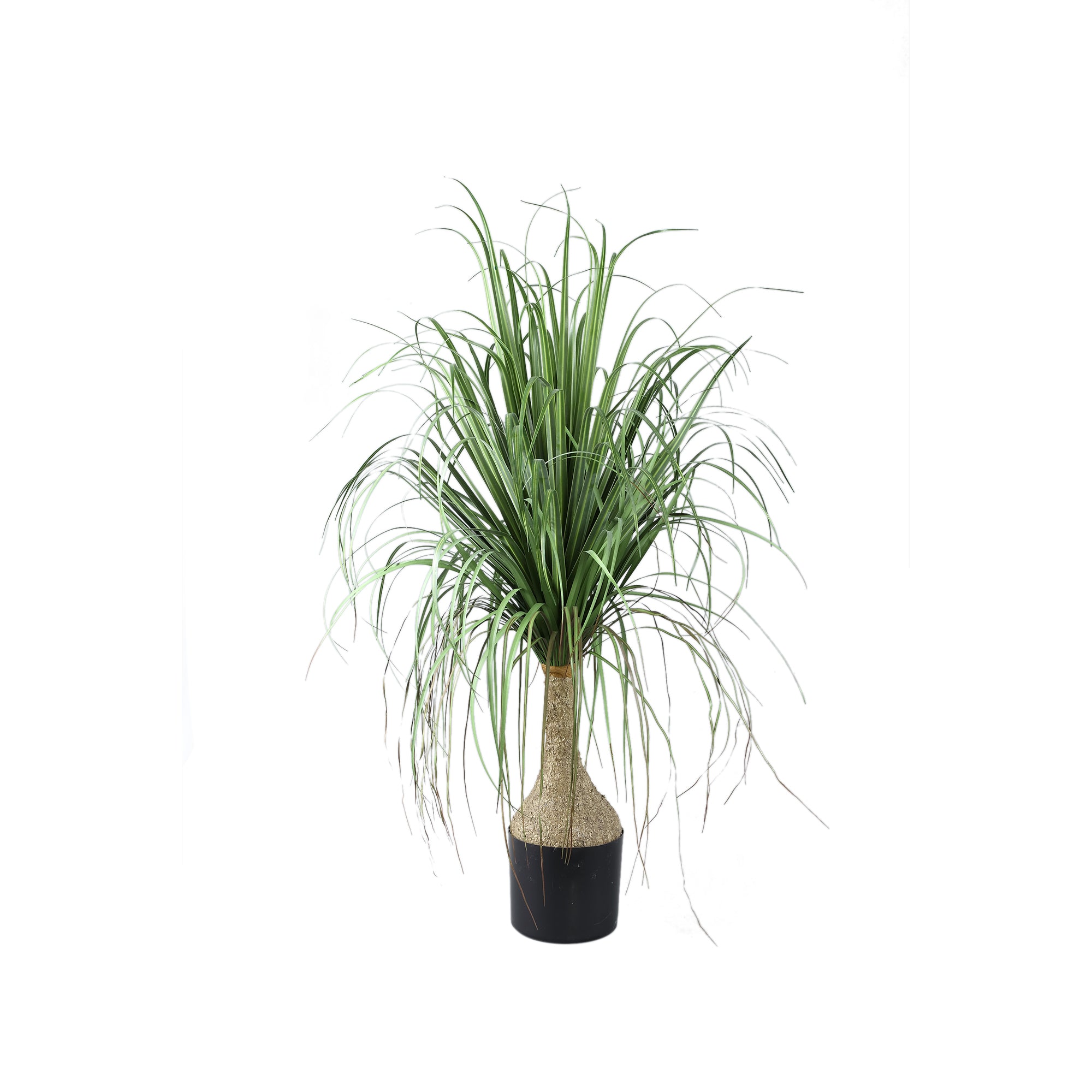Leaves Plant Green Onion Grass On Coconut Tree A PTMD - Kunstplant - PTMD - livinglovely.nl