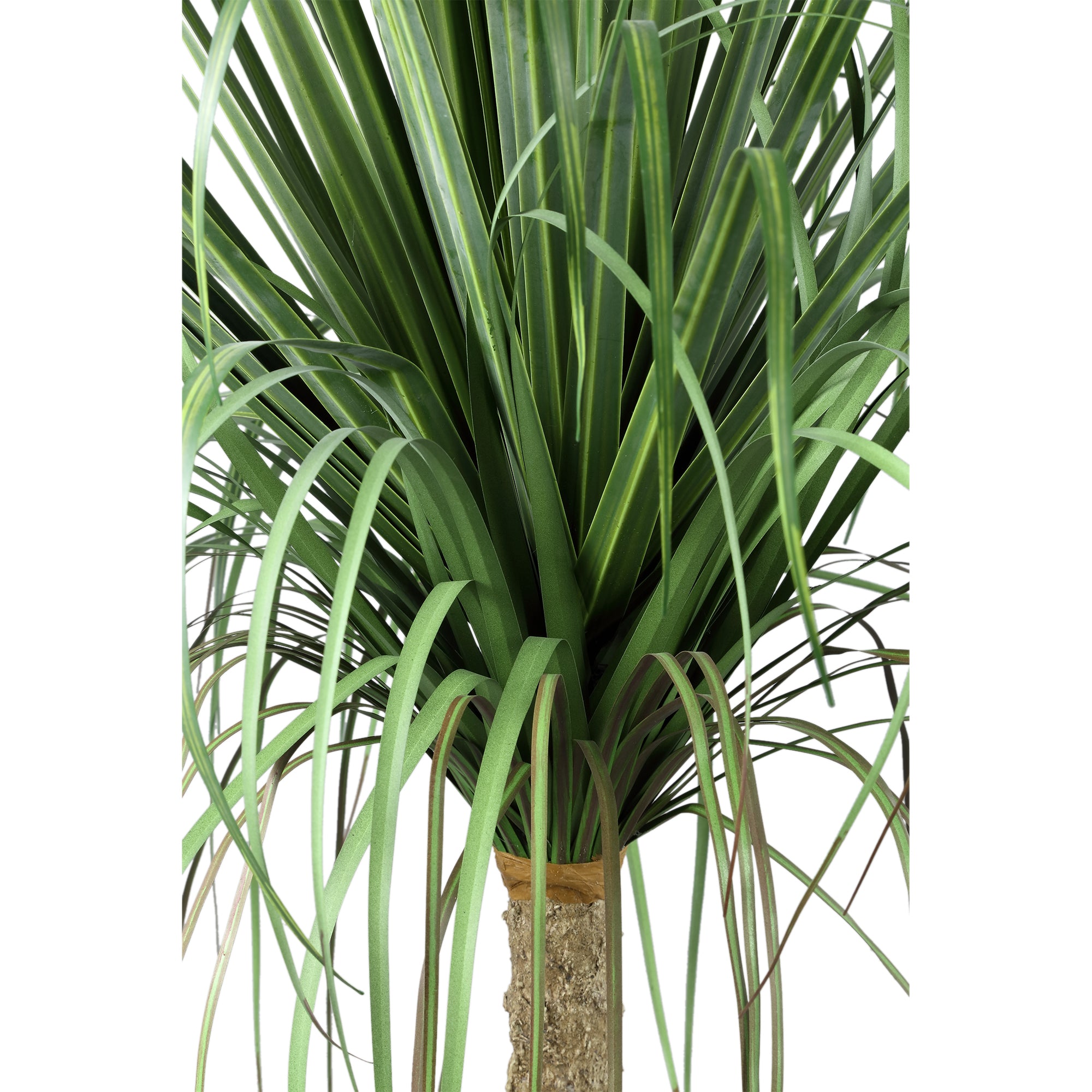 Leaves Plant Green Onion Grass On Coconut Tree A PTMD - Kunstplant - PTMD - livinglovely.nl