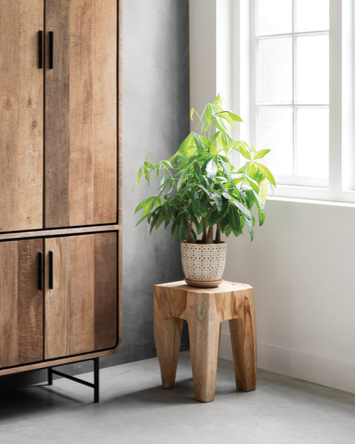 Must Living Kruk Vito Naturel - Kruk - MUST Living - livinglovely.nl
