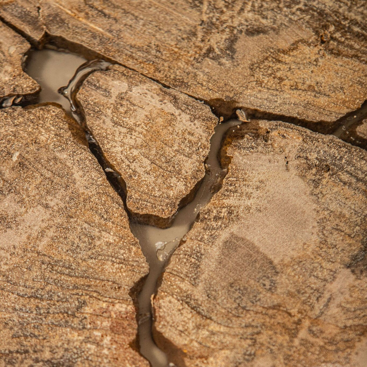 Taly Koffietafel Large van PTMD, macro van de gebarsten structuur van versteend hout