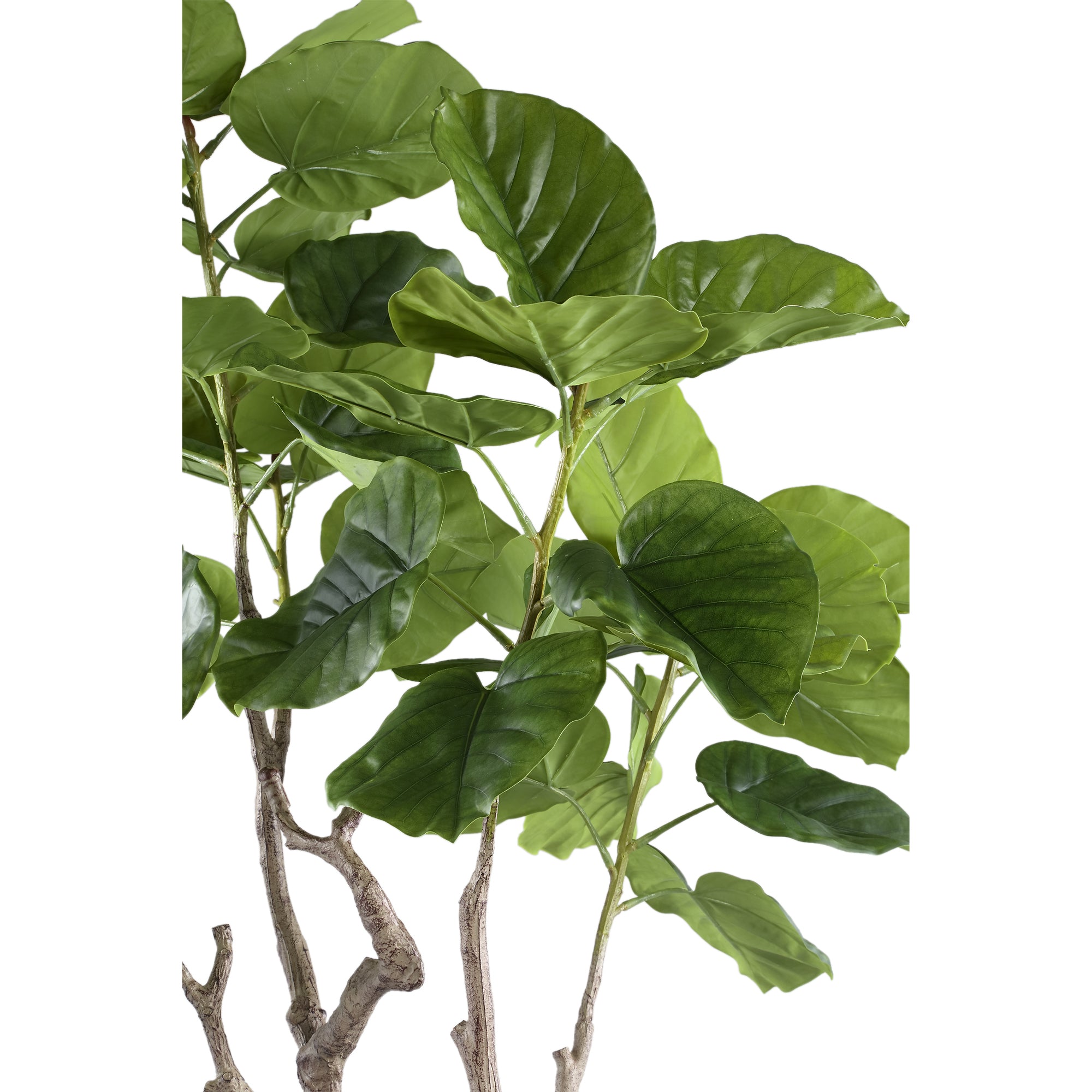 Tree Green Ficus Tree In Pot M 109x115x15,5cm PTMD - Kunstplant - PTMD - livinglovely.nl