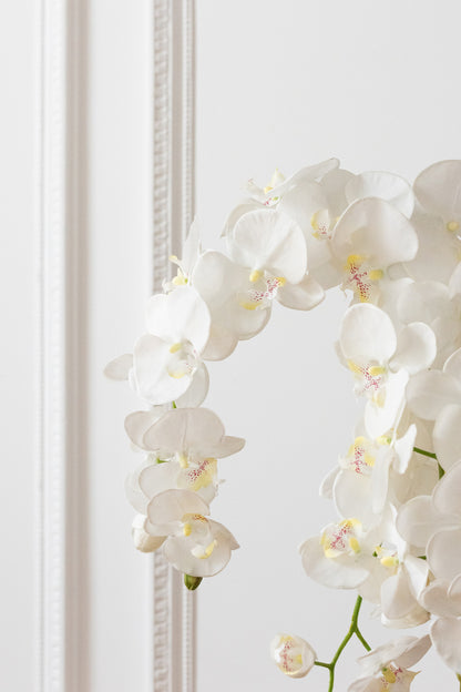 Orchidee In Aarde Plastiek Wit/Groen Large 32x32x75cm