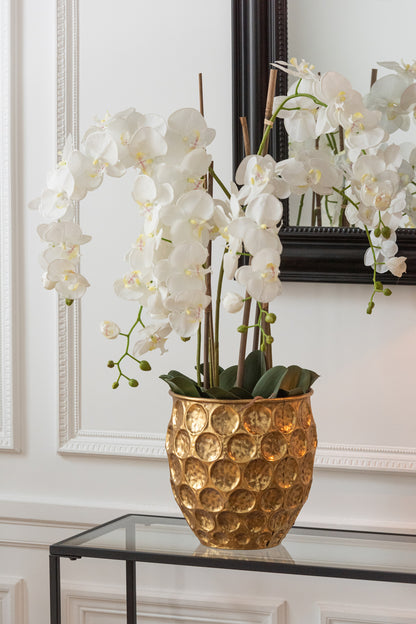 Orchidee In Aarde Plastiek Wit/Groen Extra Large L60cmb53cmh104cm