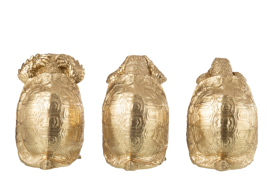 Schildpad Zien/Horen/Zwijgen Resin Goud Set van 3 J-Line