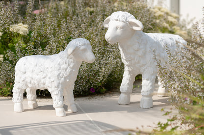 Schaap Outdoor Mgo Beige Large