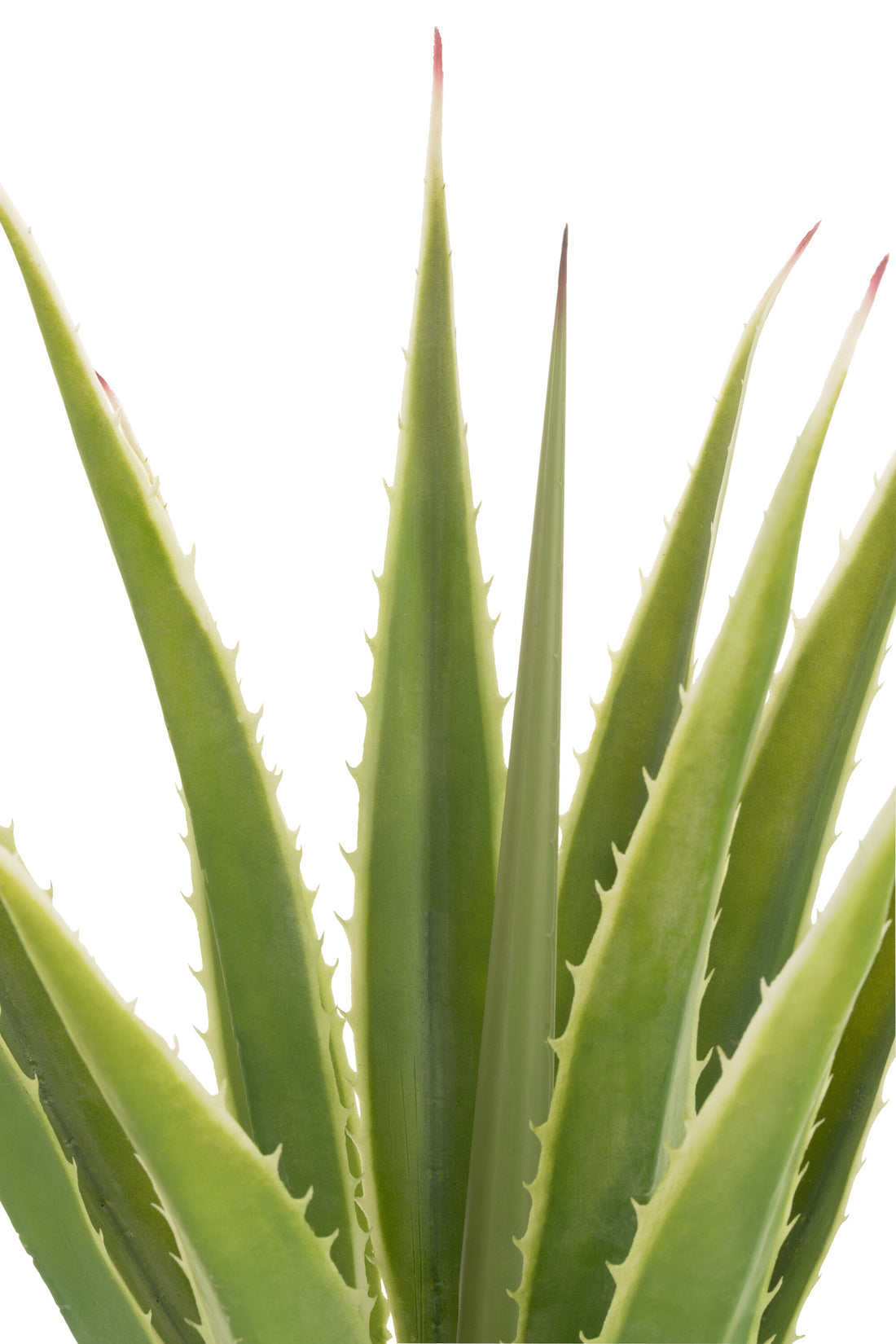 Agave Gebroken Wit Kunstmatig Groen 80x80x150cm