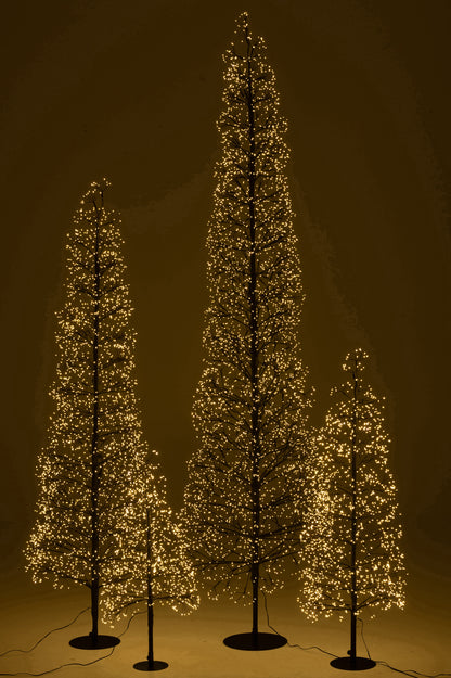 Boom Led Warm Witte Lichten Ijzer Zwart Extra Large H240cm j-Line