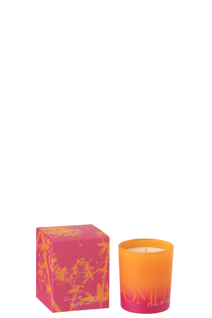 Geurkaars Oasis Oranje/Roze Small J-Line
