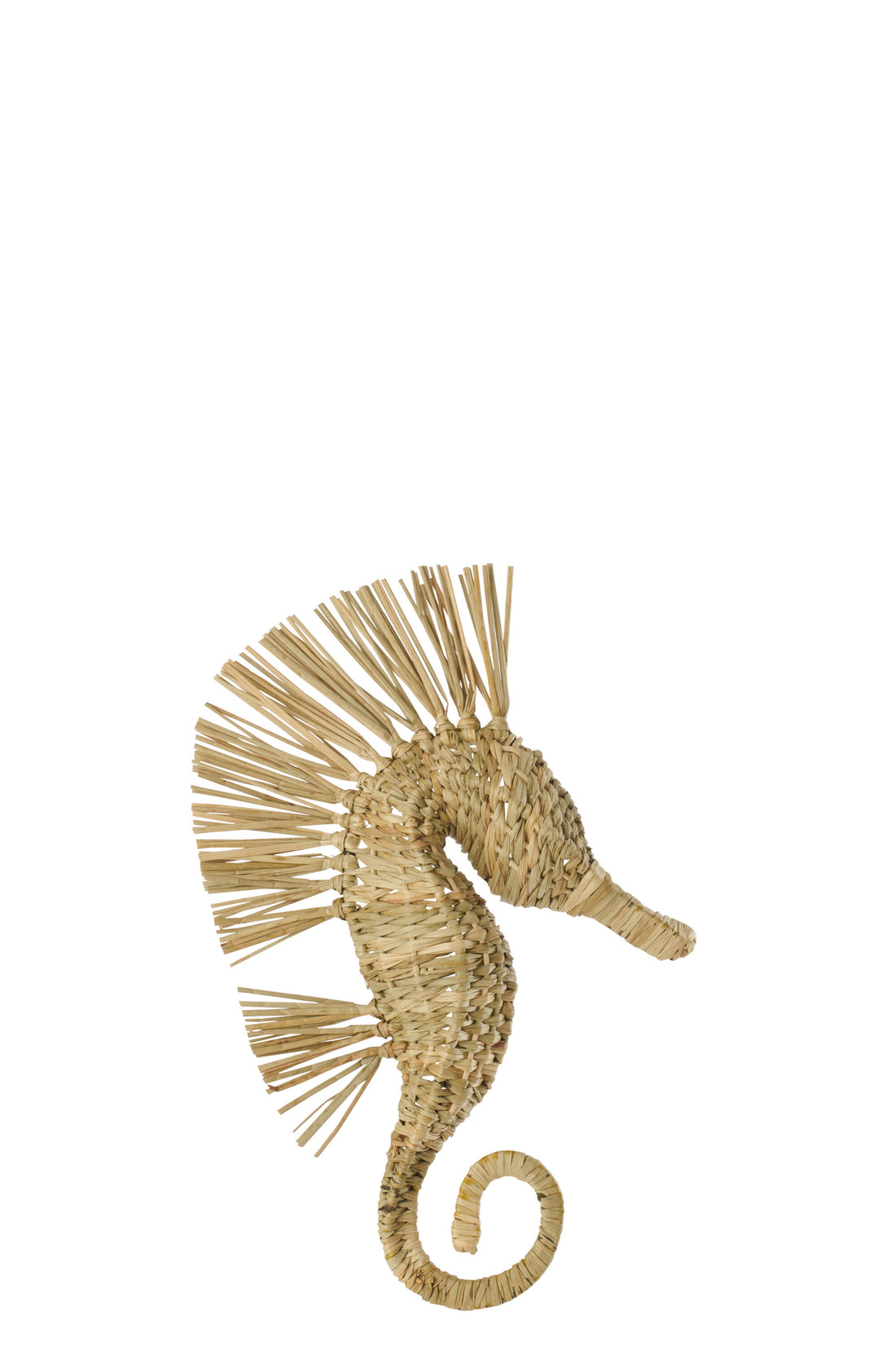 Wandobject Zeepaard Gras Naturel Small J-Line