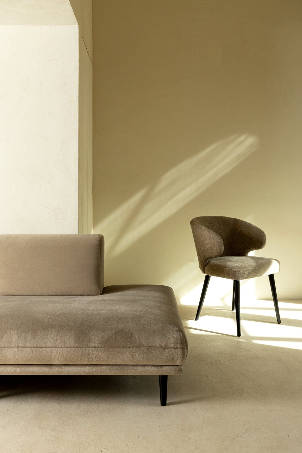 Esszimmerstuhl Fiori Green 1205 PTMD