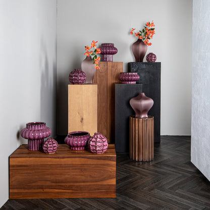 Vaas Halde - Paars - Hoog PTMD