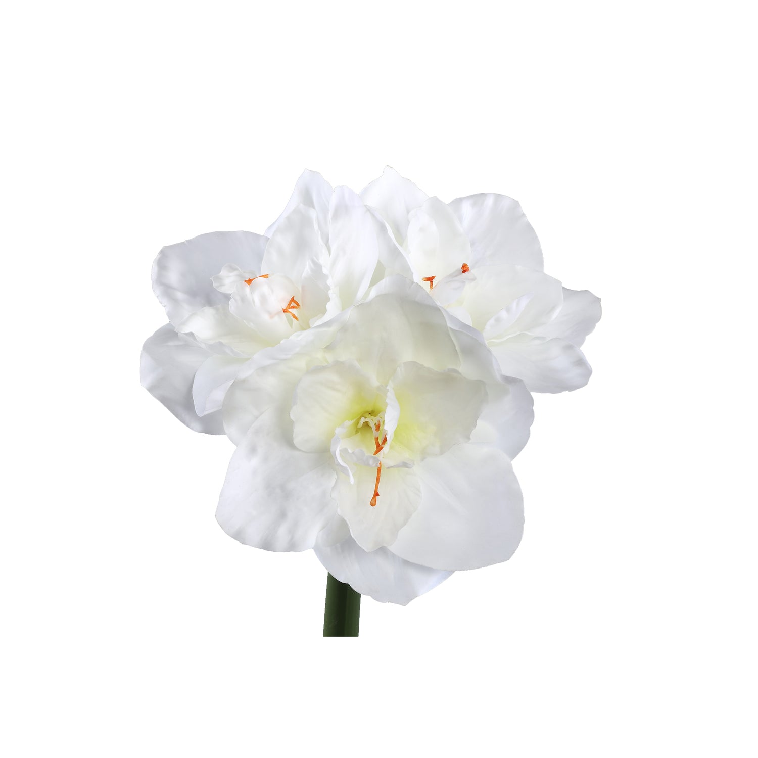 Kunstbloem Amaryllis - 17x38x75 cm - Kunststof - Wit PTMD
