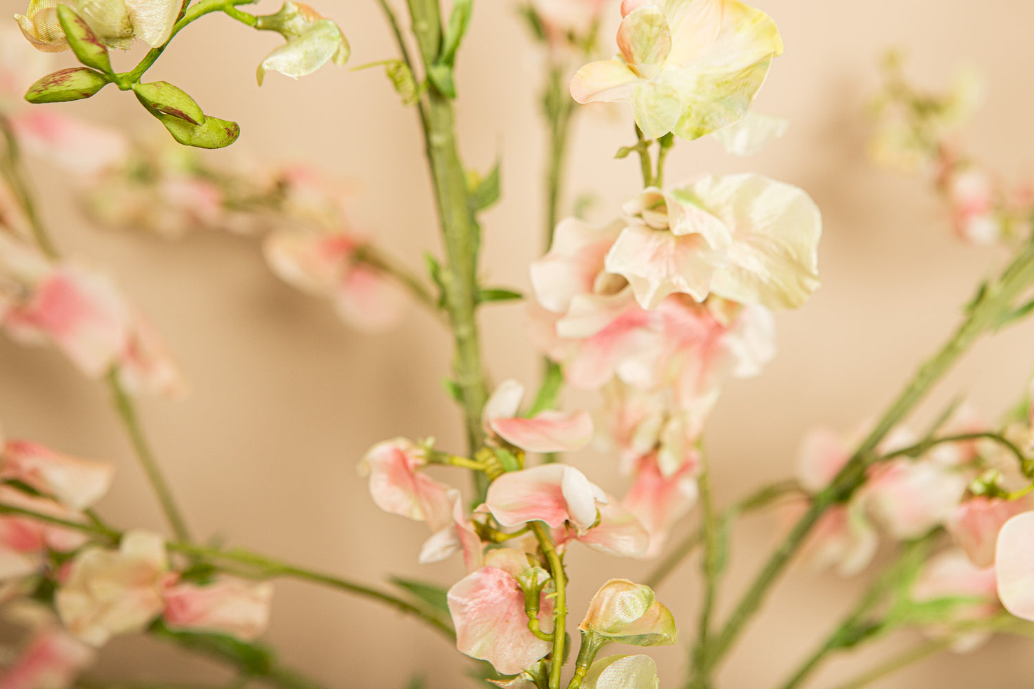 Garden Flower Cream Sweetpea Stem PTMD