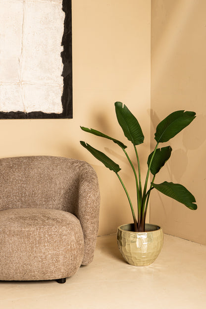 Tree Green Travellers Palm 6 Leaves In Plastic Pot 75x75x120cm PTMD