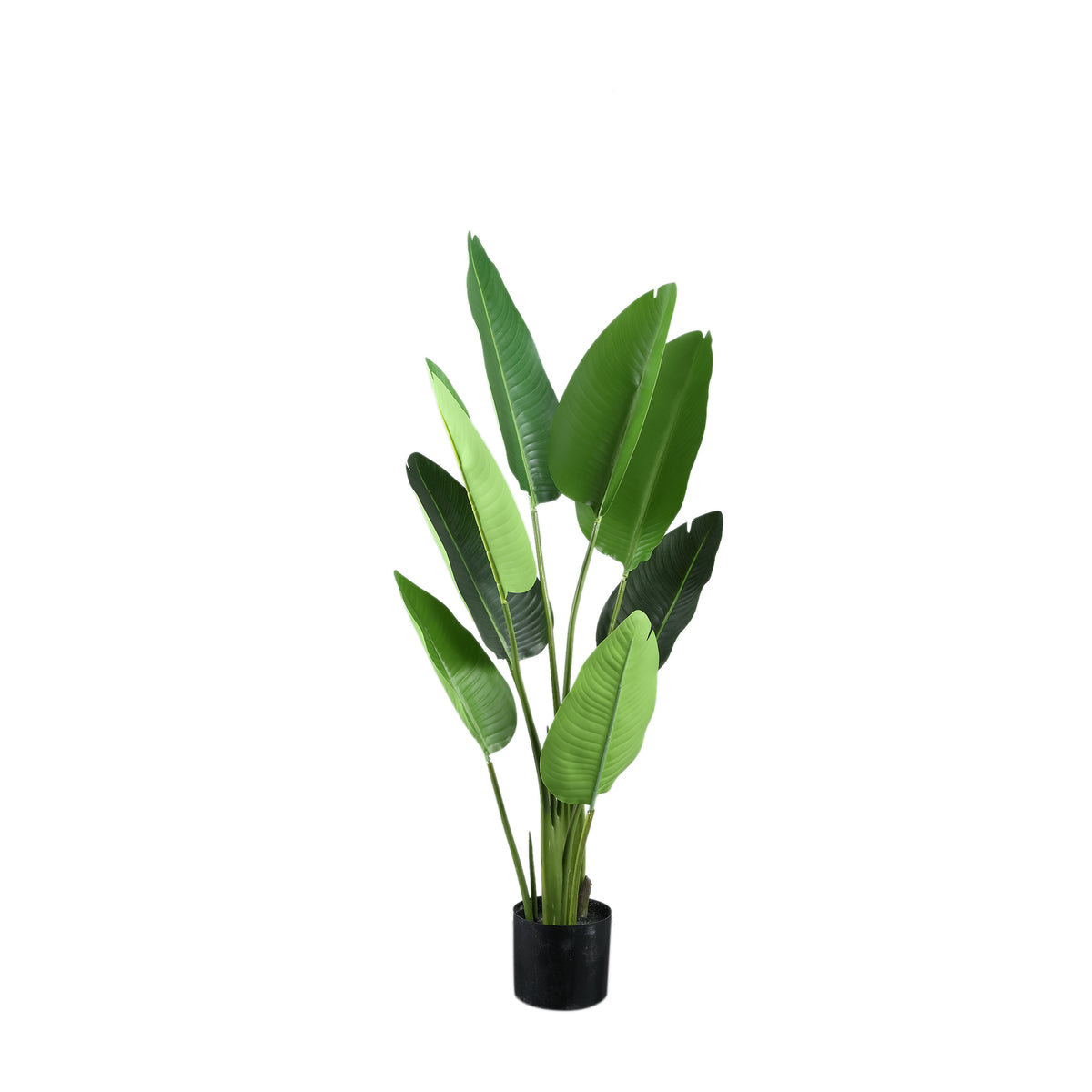 Kunstpflanze Grün PE Real Touch Strelitzia S 77x56x117cm PTMD