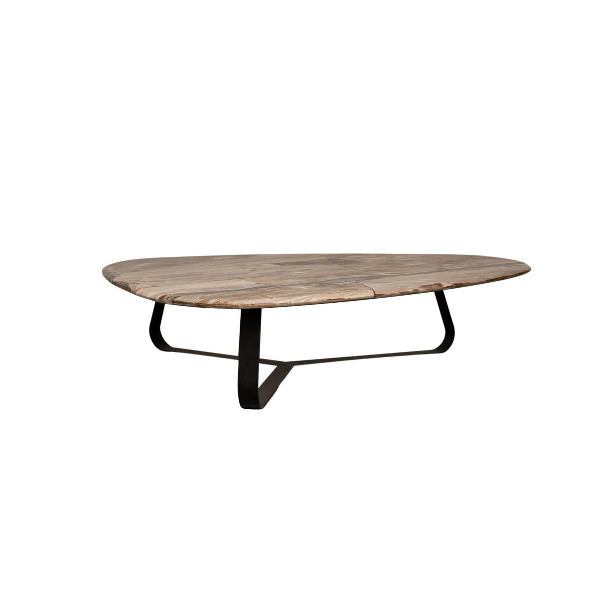 Couchtisch Deeba versteinertes Holz 130 PTMD