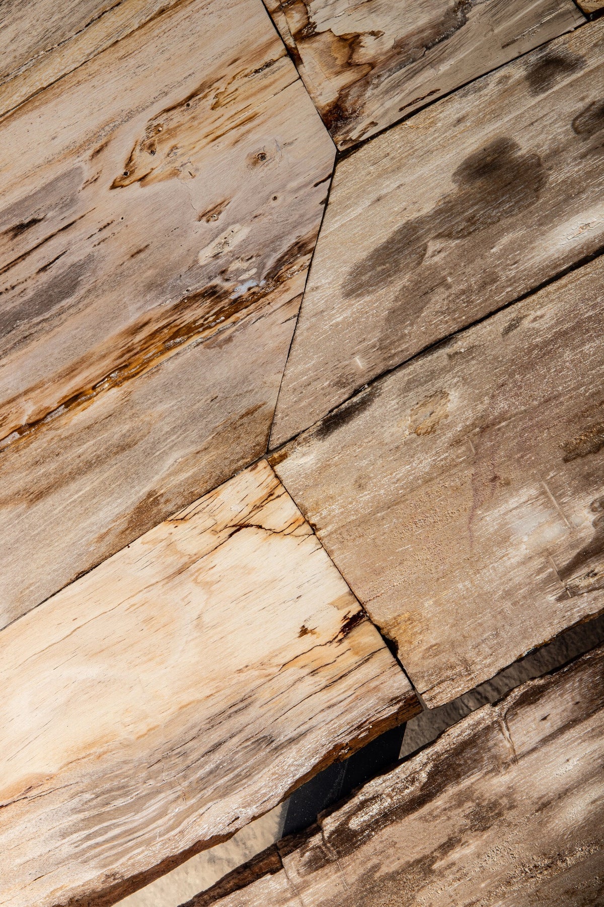Couchtisch Deeba versteinertes Holz 130 PTMD