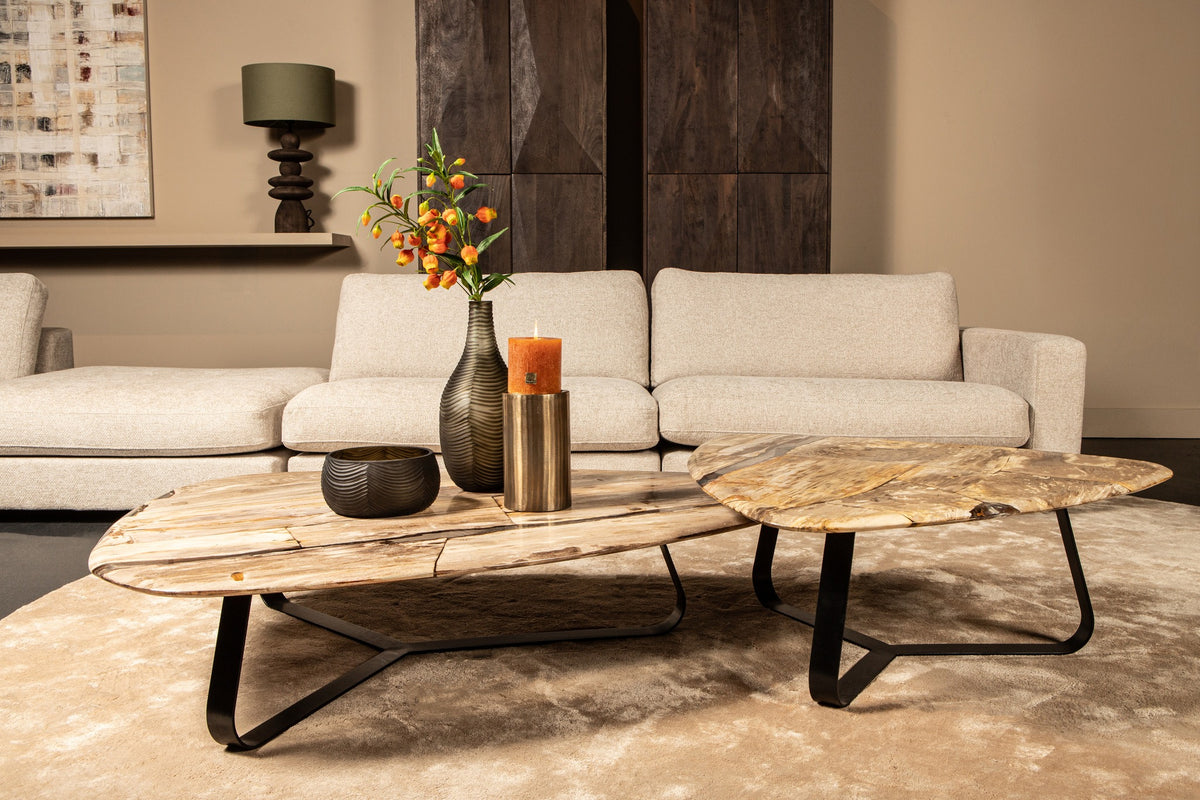 Couchtisch Deeba versteinertes Holz 130 PTMD