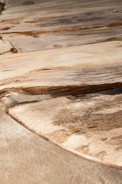 Couchtisch Deeba versteinertes Holz 130 PTMD