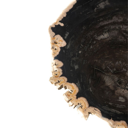 Jisse Beistelltisch aus schwarzem versteinertem Holz mit gedrehter Basis PTMD