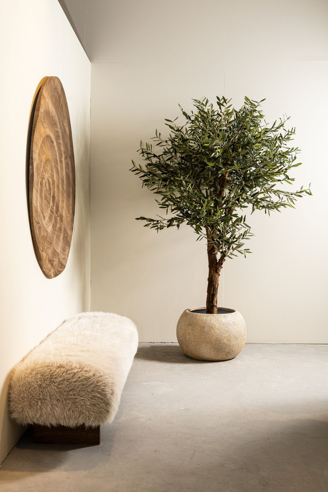 Tree Green Olive Tree In Pot 120x120x210cm PTMD