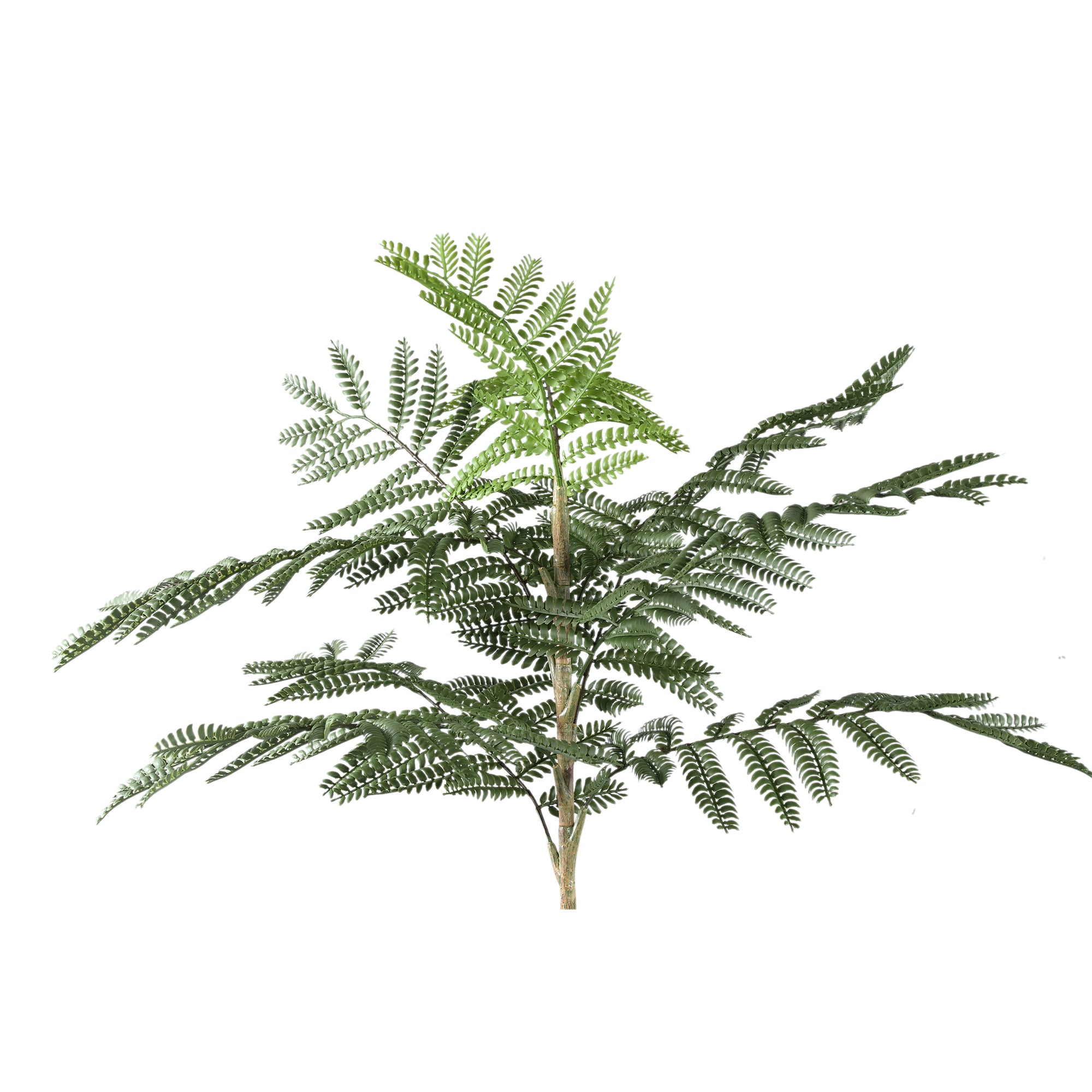 Tree Green Jacaranda Tree In Pot 43x45x99cm PTMD
