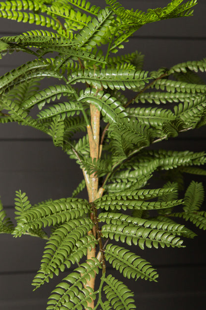 Tree Green Jacaranda Tree In Pot 43x45x99cm PTMD