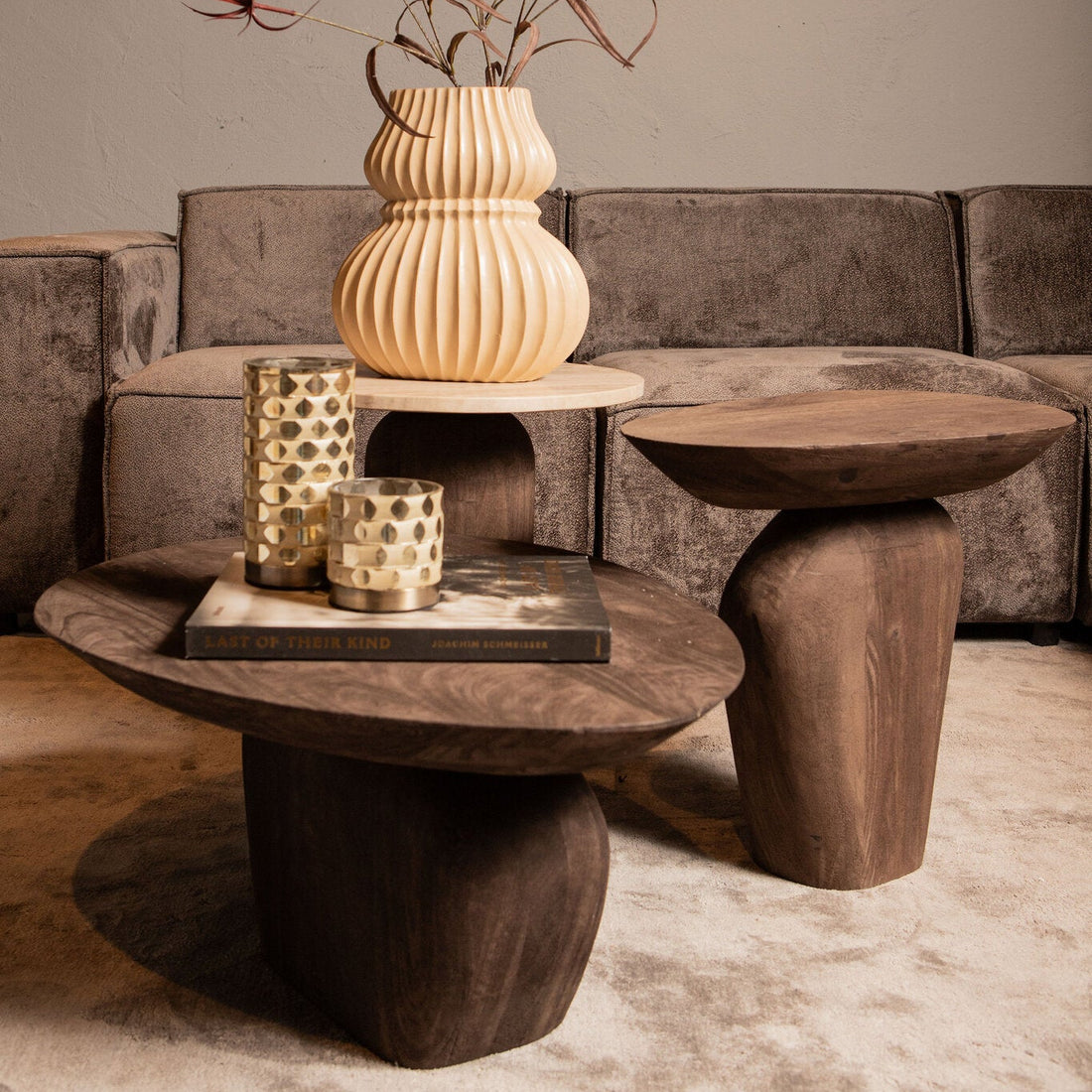 Harshad Brown Mango Wood Coffee Table Organic PTMD