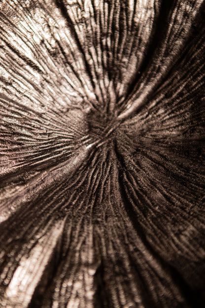 Schaal Losh GunMetal Alu Wavy Leaf Ovaal PTMD