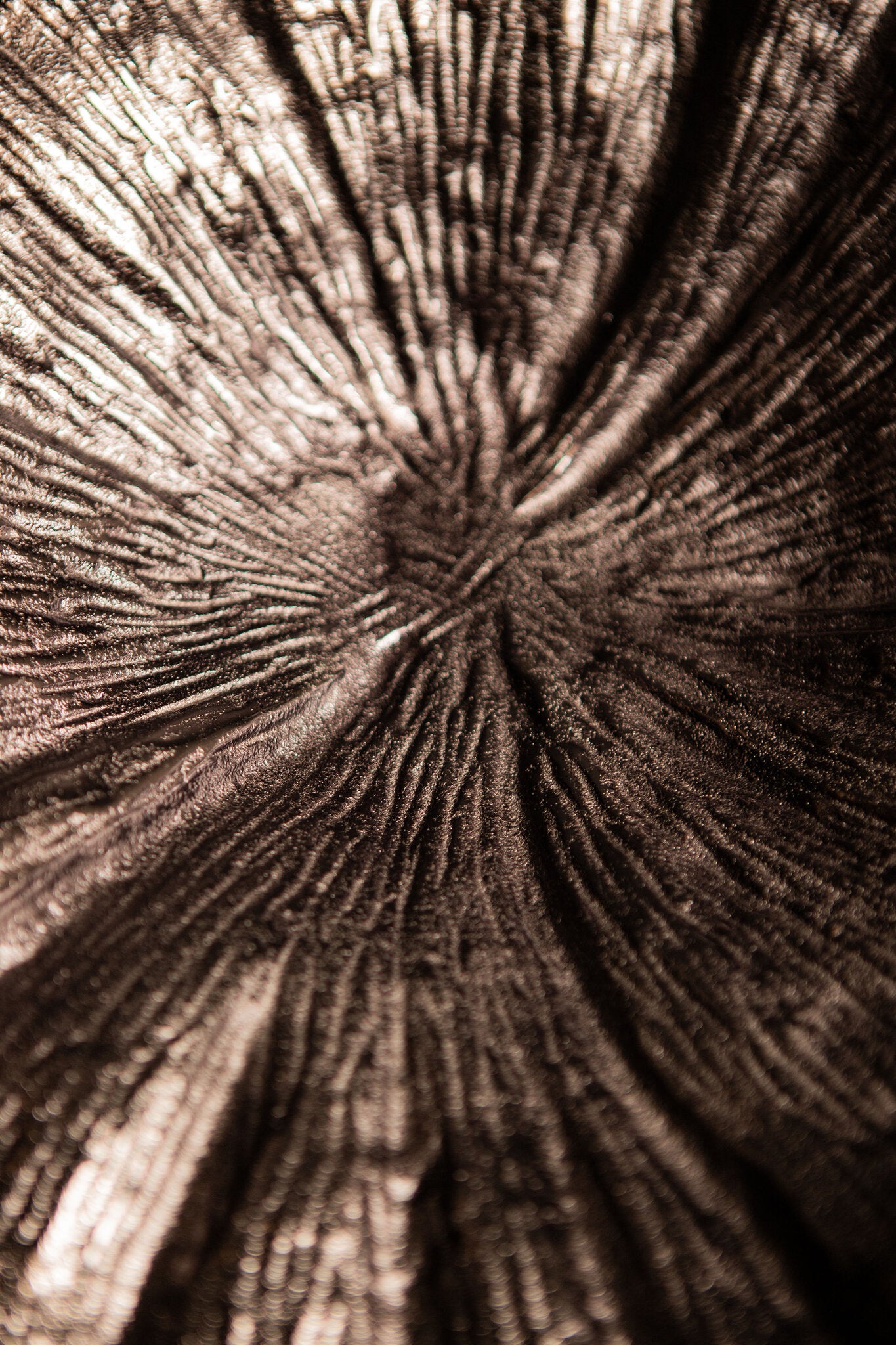 Schaal Losh GunMetal Alu Wavy Leaf Ovaal PTMD