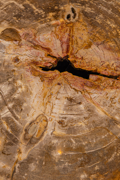 Salontafel Kayo Naturel Versteend Hout 3 Poten Laag PTMD