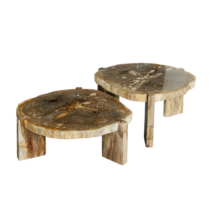 Salontafel Kayo Naturel Versteend Hout 3 Poten Laag PTMD