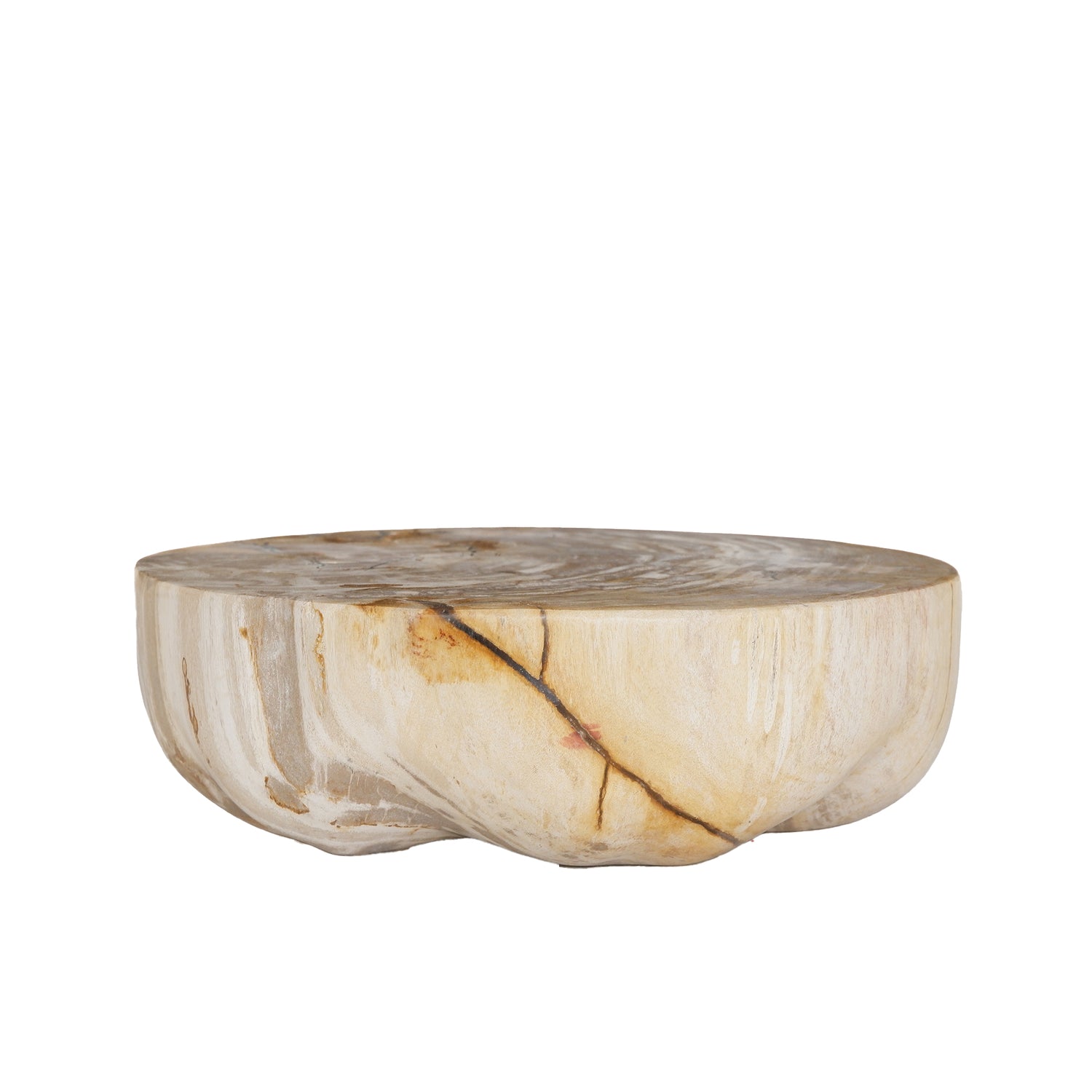 Bethe Natural Petrified Wood Half Ball Display S PTMD