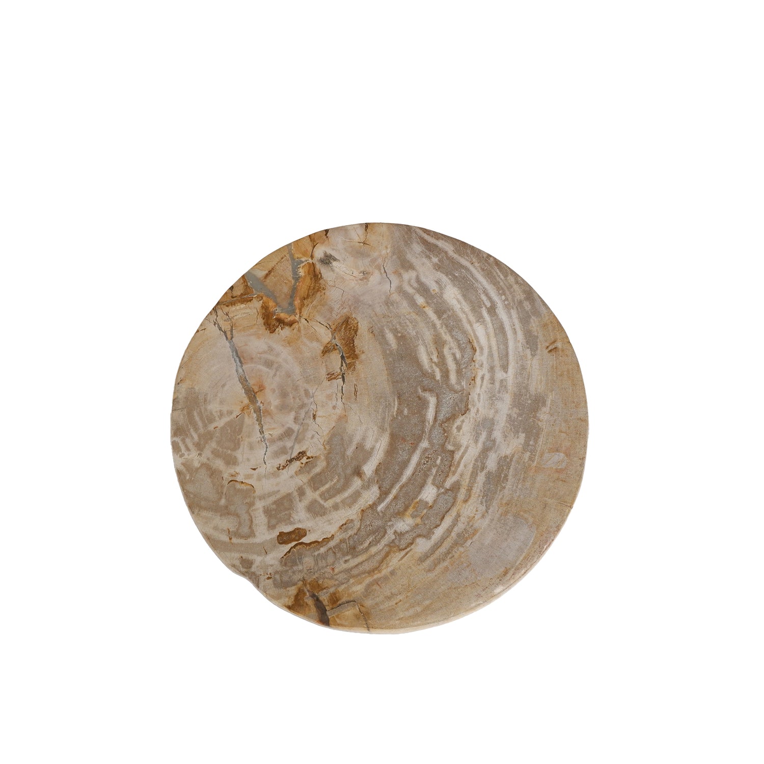 Bethe Natural Petrified Wood Half Ball Display S PTMD