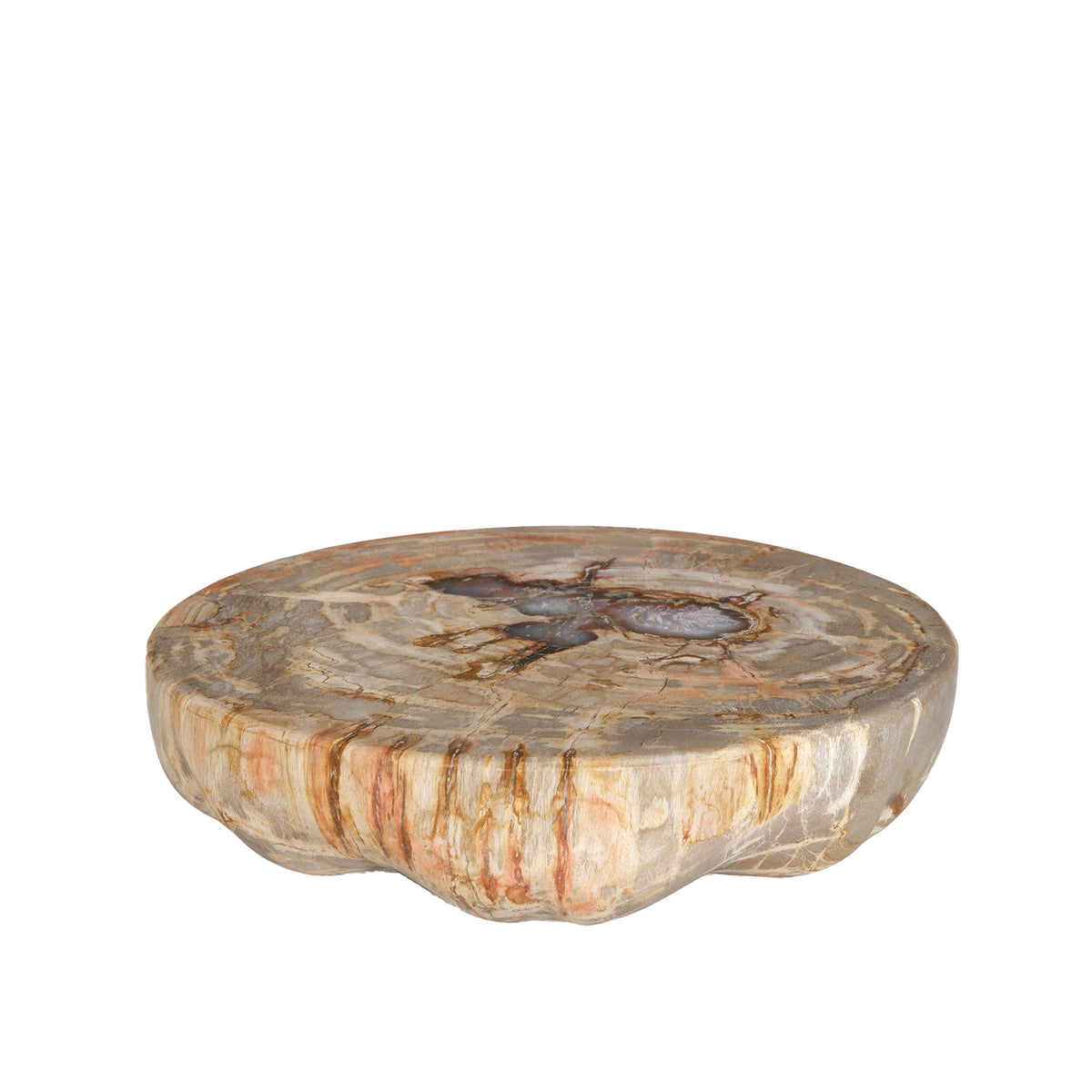 Bethe Natural Versteinertes Holz Halbkugel Display L PTMD