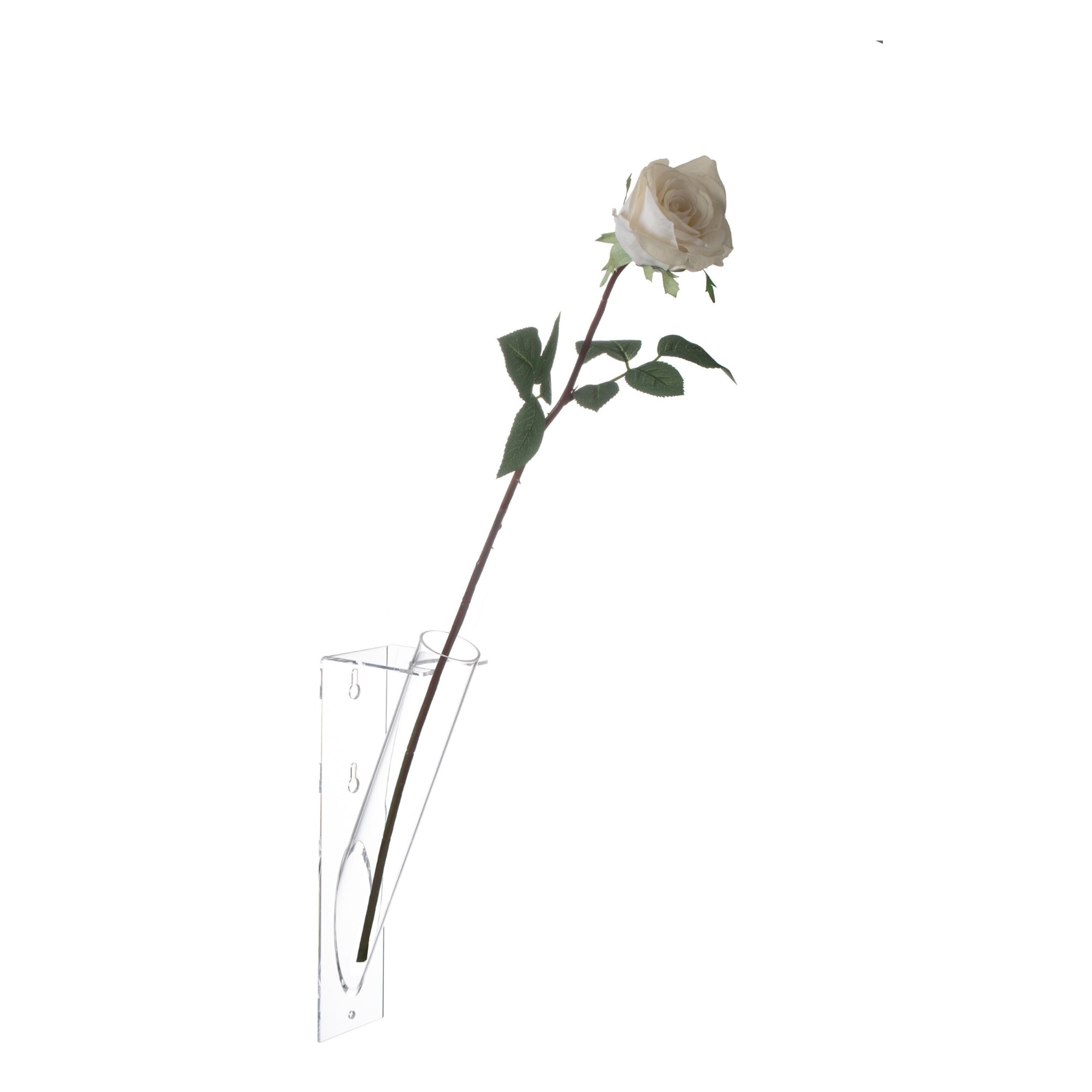 Bloemenhouder Tube Acryl 26cm J-Line