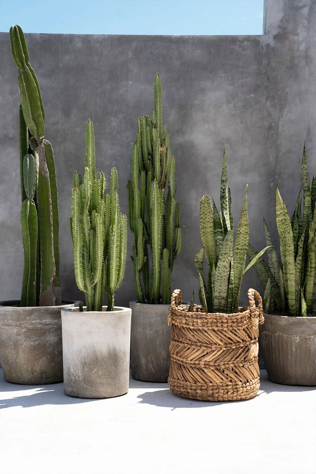 De Banana Zigzag Mand Large