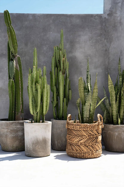 De Banana Zigzag Mand Large